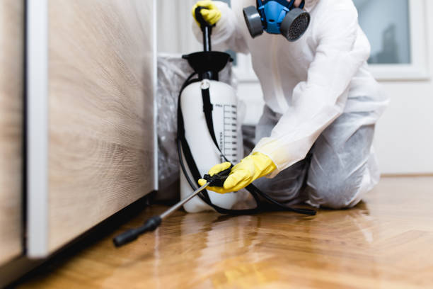 Best Best Pest Control Companies  in Bridgeport, WA