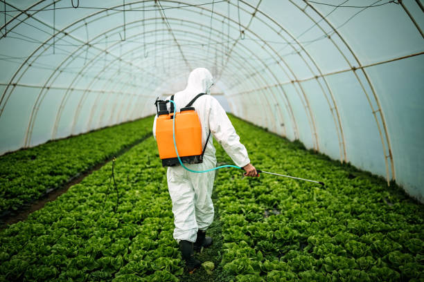 Best Emergency Pest Control  in Bridgeport, WA