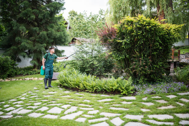Best Pest Control Near Me  in Bridgeport, WA