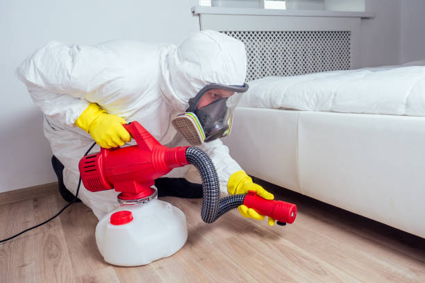 Best Affordable Pest Control Services  in Bridgeport, WA