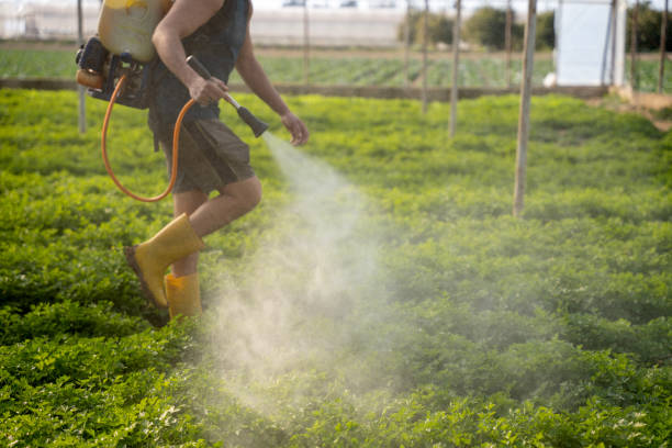 Best Pest Inspection Near Me  in Bridgeport, WA