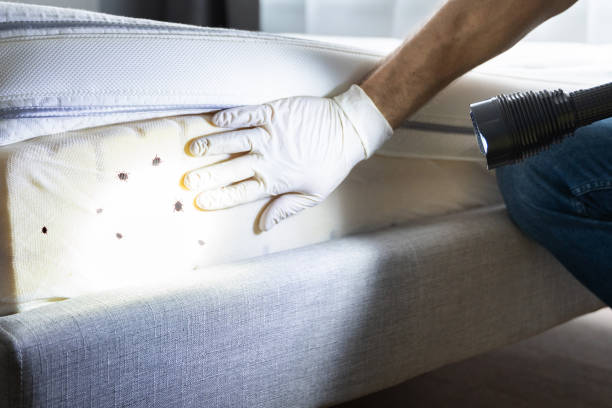  Bridgeport, WA Pest Control Pros
