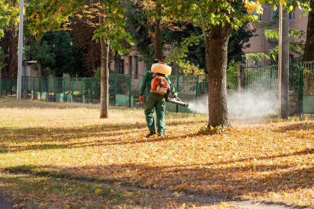 Best Cockroach Control Services  in Bridgeport, WA