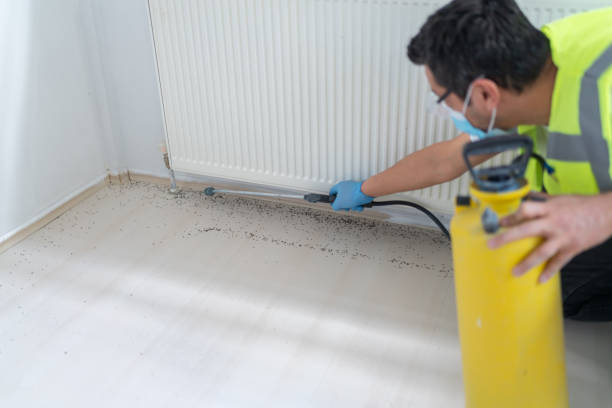 Best Commercial Pest Control Services  in Bridgeport, WA
